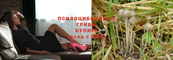 MDMA Волоколамск
